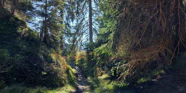 Coaching / Lebensberatung Coaching / Lebensberatung
