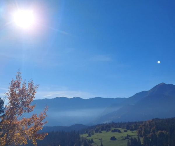 Einzelcoaching